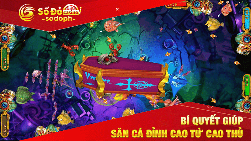 bí quyết giúp săn cá đỉnh cao từ cao thủ