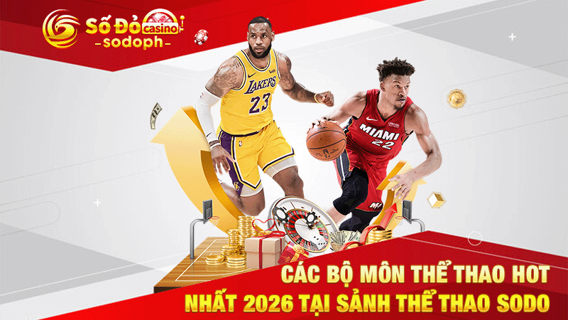 các bộ môn thể thao hot nhất 2026 tại sảnh thể thao sodo