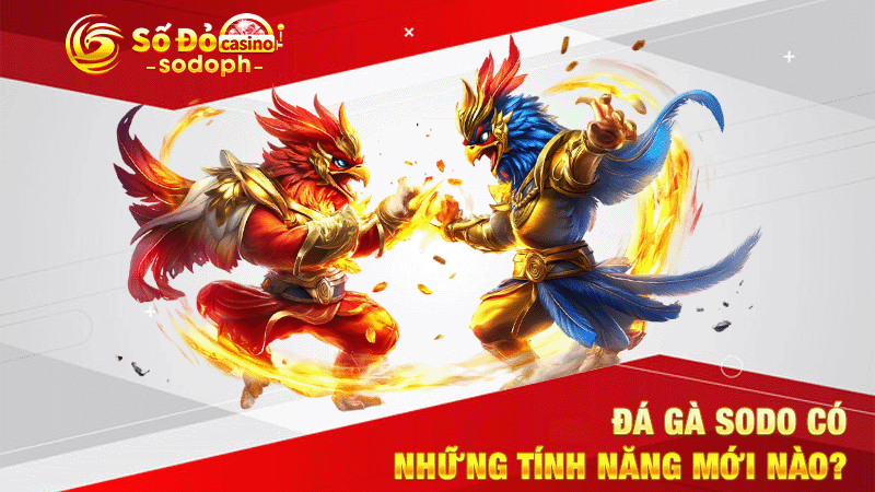 đá gà sodo có những tính năng mới nào