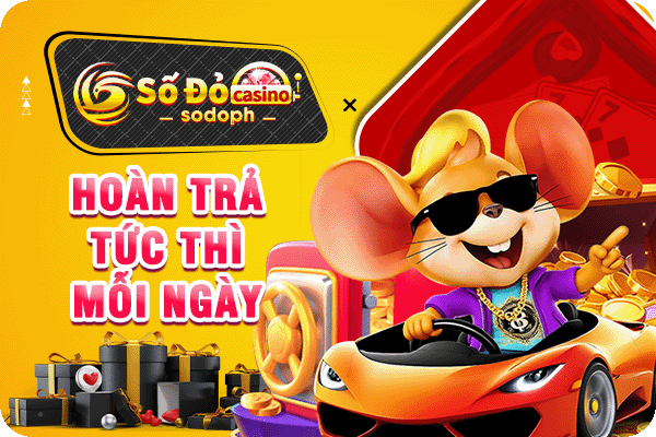 hoàn trả tức thì mỗi ngày