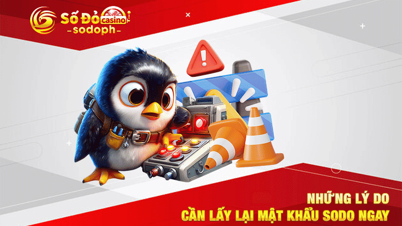 những lý do cần lấy lại mật khẩu sodo ngay