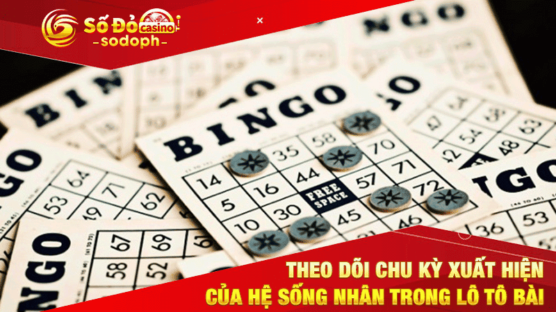 theo dõi chu kỳ xuất hiện của hệ sống nhân trong lô tô bài