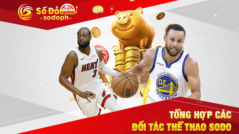 tổng hợp các đối tác thể thao sodo