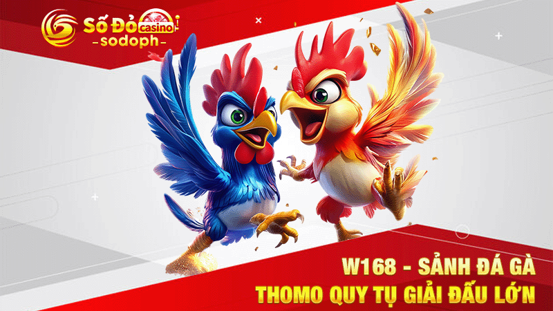w168 - sảnh đá gà thomo quy tụ giải đấu lớn