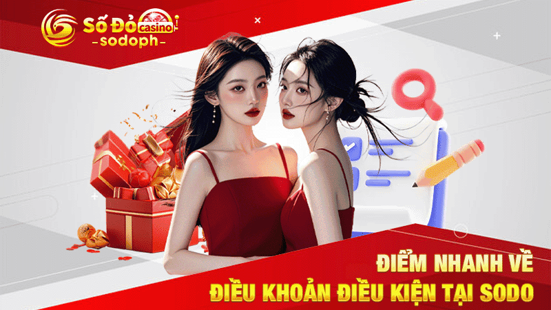 điểm nhanh về điều khoản điều kiện tại sodo