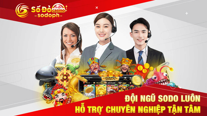 đội ngũ sodo luôn hỗ trợ chuyên nghiệp tận tâm