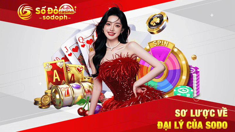 sơ lược về đại lý của sodo