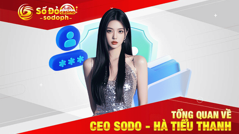 tổng quan về ceo sodo - hà tiểu thanh
